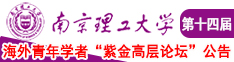 嗯嗯啊啊插我逼逼视频南京理工大学第十四届海外青年学者紫金论坛诚邀海内外英才！